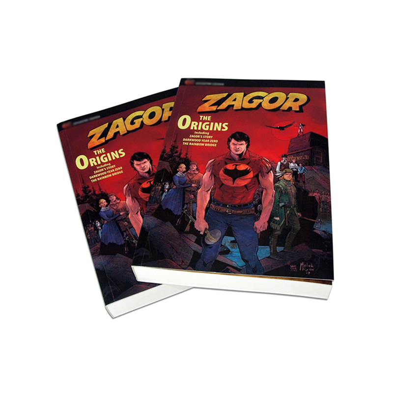 Custom offset adult comic book printing custom book printing
