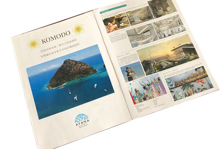14 flyer booklet printing (6)
