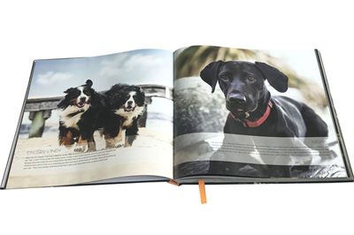 18 full color photo book printing (1)