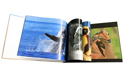 2 art photo book printing (1)