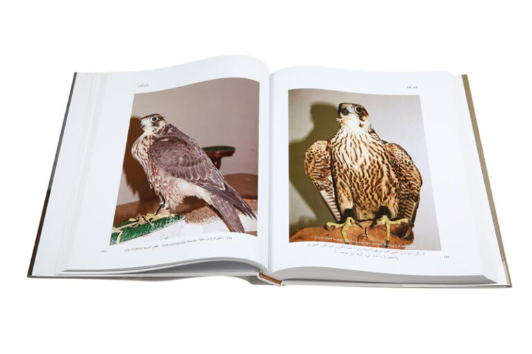 25 hardcover photography book printing (2)