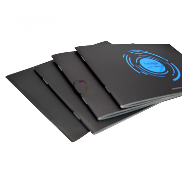 Full color passport size booklet printing custom book printing
