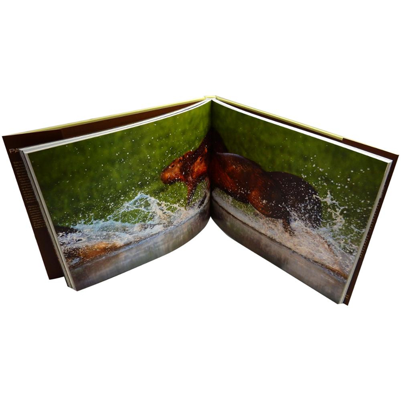 Low cost high quality photo book printing custom book printing